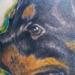 rottweiller  portrait Tattoo Design Thumbnail